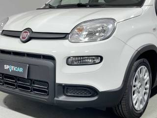 FIAT Panda usata 28