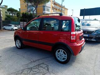 FIAT Panda usata, con Alzacristalli elettrici