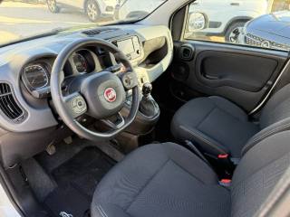 FIAT Panda usata 14