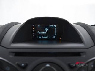 FORD Fiesta usata 13