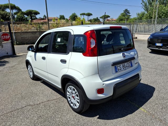 FIAT Panda usata 3