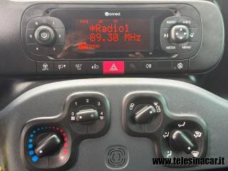 FIAT Panda usata 14