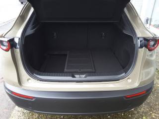 MAZDA CX-30 usata, con Vetri oscurati