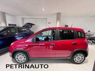 FIAT Panda usata, con Antifurto