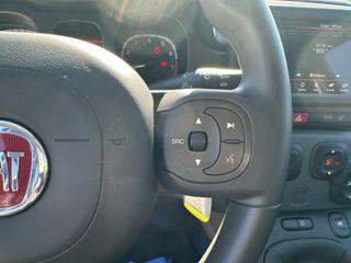 FIAT Panda Cross usata 58