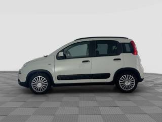 FIAT Panda usata 1