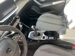 PEUGEOT 2008 usata, con Cruise Control