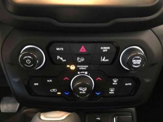 JEEP Renegade usata, con Fendinebbia