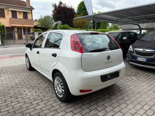 FIAT Punto usata 6