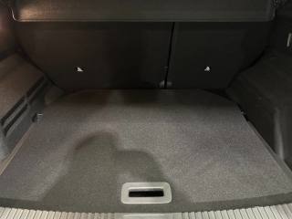 RENAULT Austral usata, con Immobilizzatore elettronico