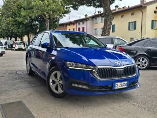 SKODA Octavia usata 137