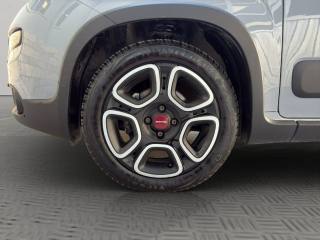 FIAT Panda usata 22