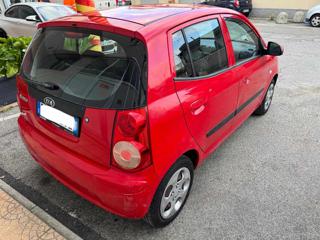 KIA Picanto usata 5