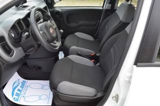 FIAT Panda usata, con Immobilizzatore elettronico