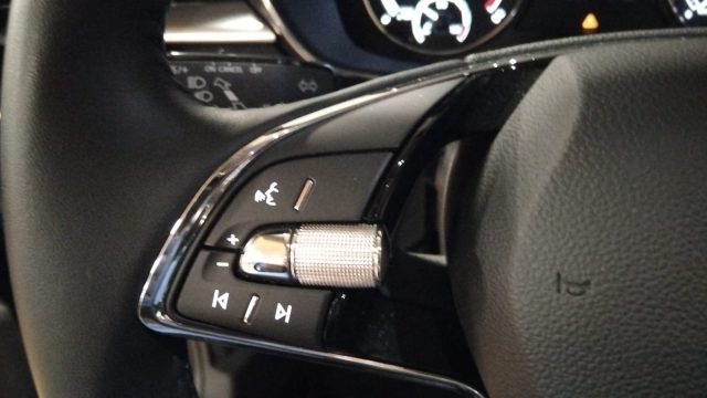 SKODA Fabia usata, con Fendinebbia