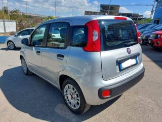 FIAT Panda usata, con Climatizzatore