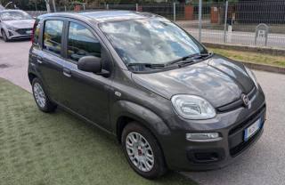 FIAT Panda usata, con Controllo trazione