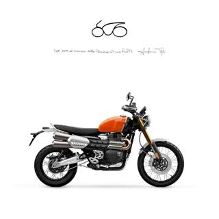 TRIUMPH Scrambler