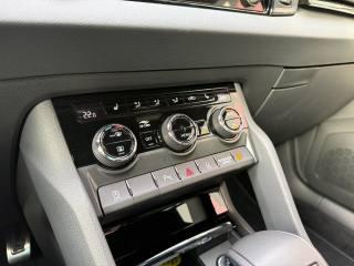 SKODA Karoq usata, con Cronologia tagliandi