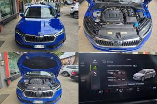 SKODA Octavia usata, con Fendinebbia