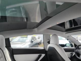 TESLA Model 3 usata, con Fendinebbia