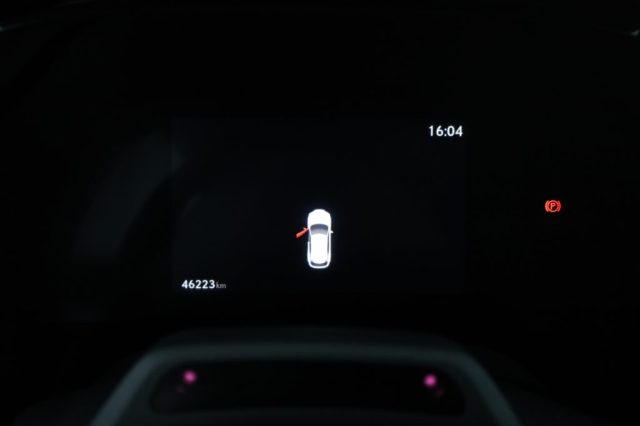 LEXUS RX 450h usata 6