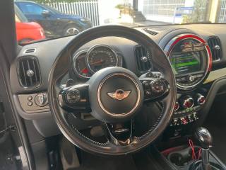 MINI Countryman usata, con Sistema di visione notturna