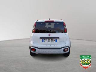 FIAT Panda Cross usata, con Chiusura centralizzata