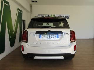 MINI Countryman usata, con Cronologia tagliandi
