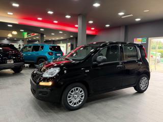 FIAT Pandina usata, con Riconoscimento dei segnali stradali