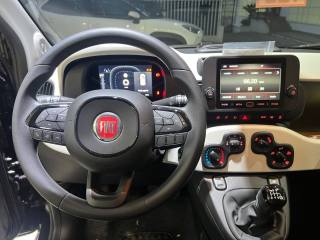 FIAT Pandina usata, con ESP