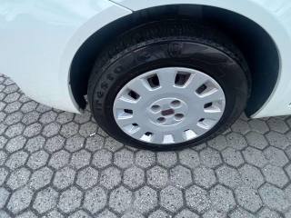 FIAT Punto usata, con Servosterzo