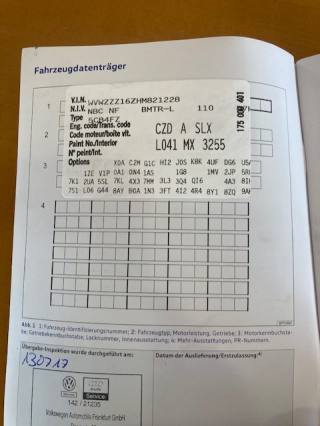 VOLKSWAGEN Maggiolino usata, con Volante in pelle