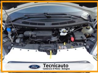 FORD Transit Custom usata 16