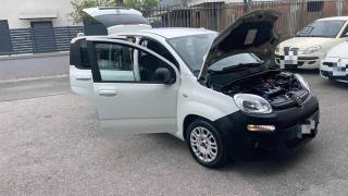 FIAT Panda usata, con Controllo trazione