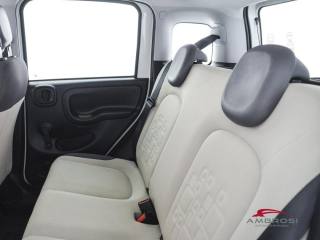 FIAT Panda usata 9