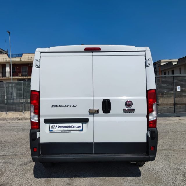 FIAT usata 3