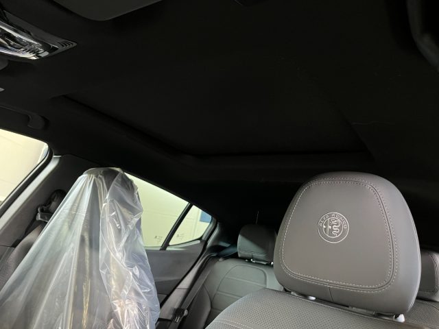 ALFA ROMEO Tonale usata, con Sistema di navigazione