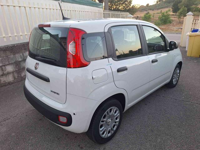 FIAT Panda usata, con Airbag Passeggero