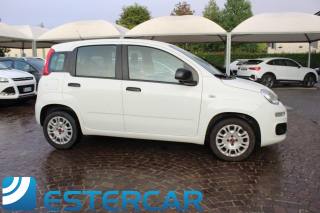 FIAT Panda usata, con Fendinebbia