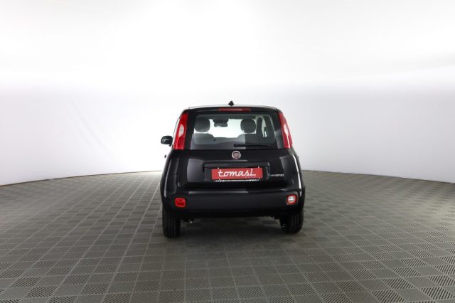 FIAT Panda usata 4