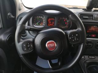 FIAT Panda usata, con Servosterzo