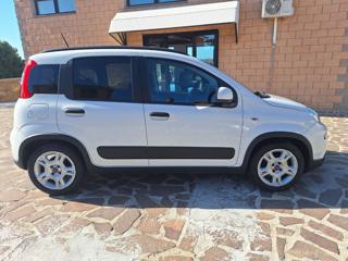 FIAT Panda usata, con Alzacristalli elettrici