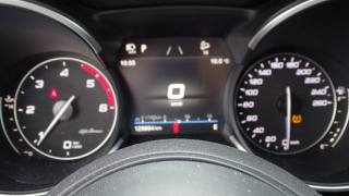 ALFA ROMEO Stelvio usata 94