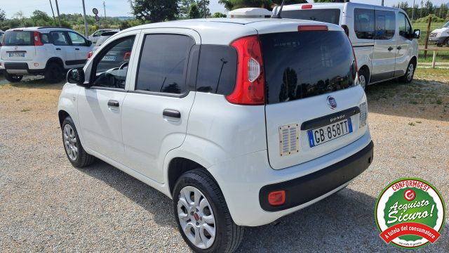 FIAT Panda usata, con Airbag