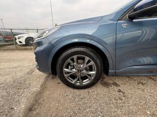 FORD Kuga usata, con Sensore di luce