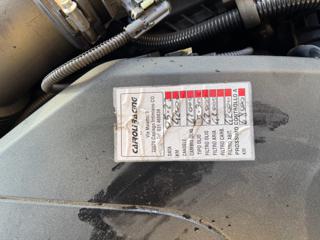 MINI Mini usata, con Fendinebbia