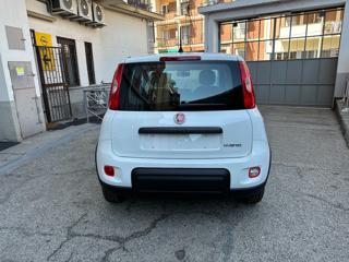 FIAT Panda usata, con Chiusura centralizzata