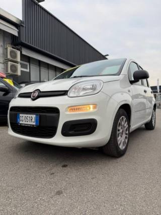 FIAT Panda usata 21