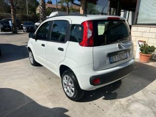 FIAT Panda usata, con Chiusura centralizzata